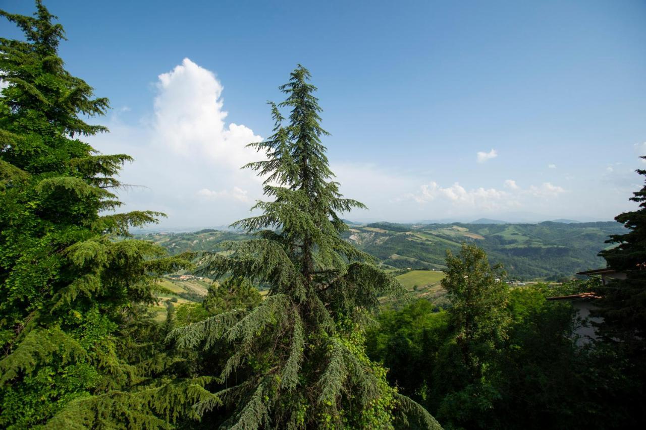 Il Giardino Dei Frati Bed & Breakfast Roncofreddo Екстериор снимка