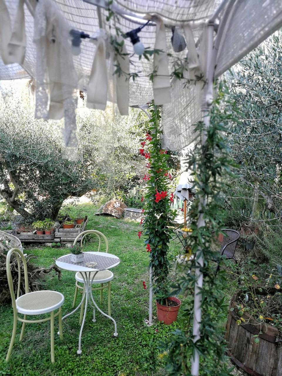 Il Giardino Dei Frati Bed & Breakfast Roncofreddo Екстериор снимка